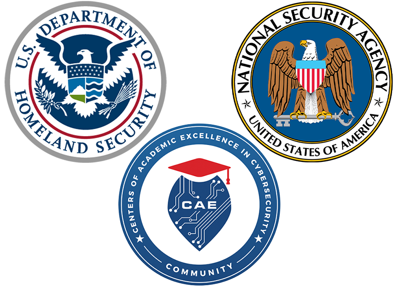 CAE NSA DHS