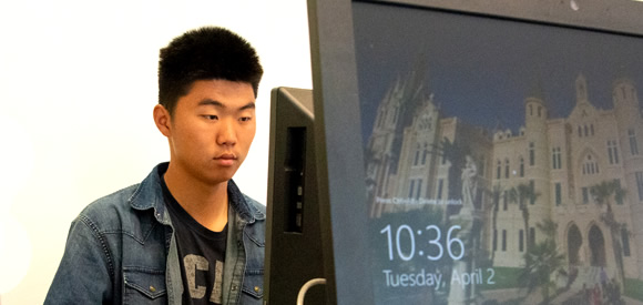 Male student looking at computer