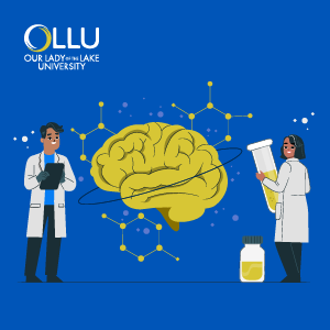 Comparing MSW vs. PsyD Degrees in Psychology