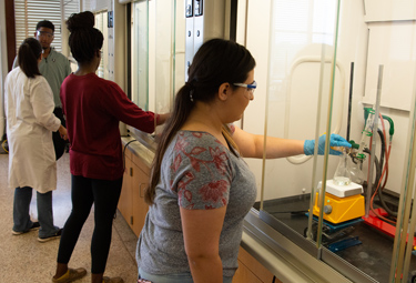 students checking on experiments in chemistry lab