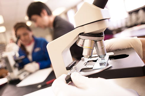 Students using microscopes in lab