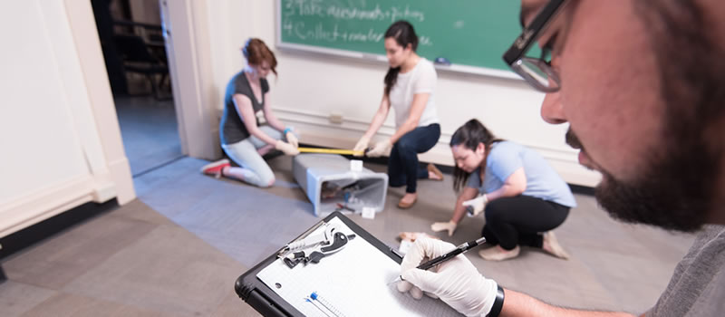 Students investigating staged crime scene