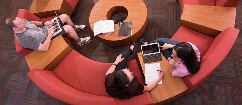 students studying in common area