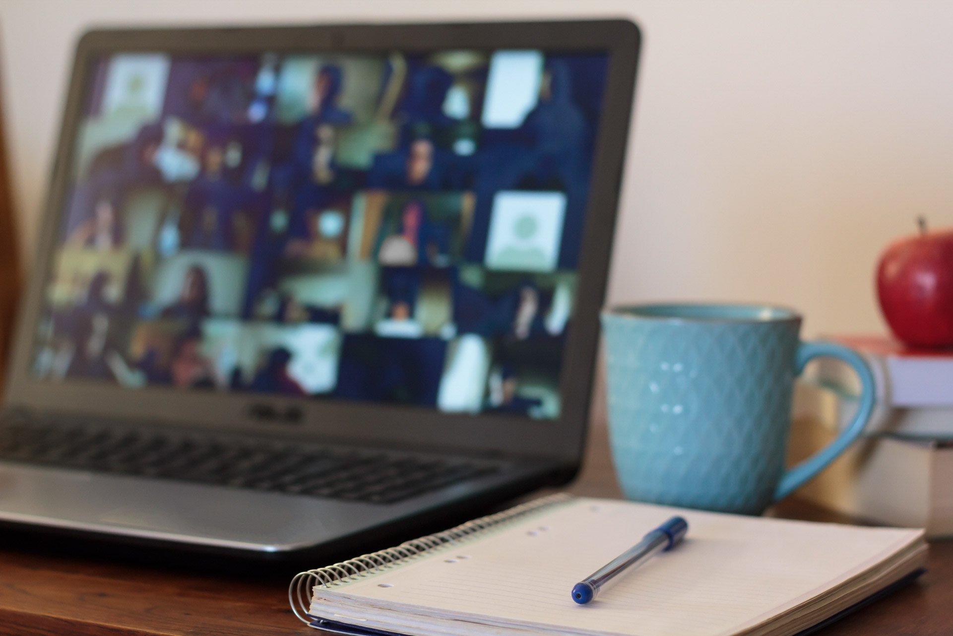 Your Degree, Your Way: Explore Our Lady of the Lake University's Online Learning Options